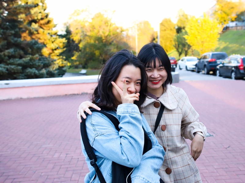 Language and Culture Schools